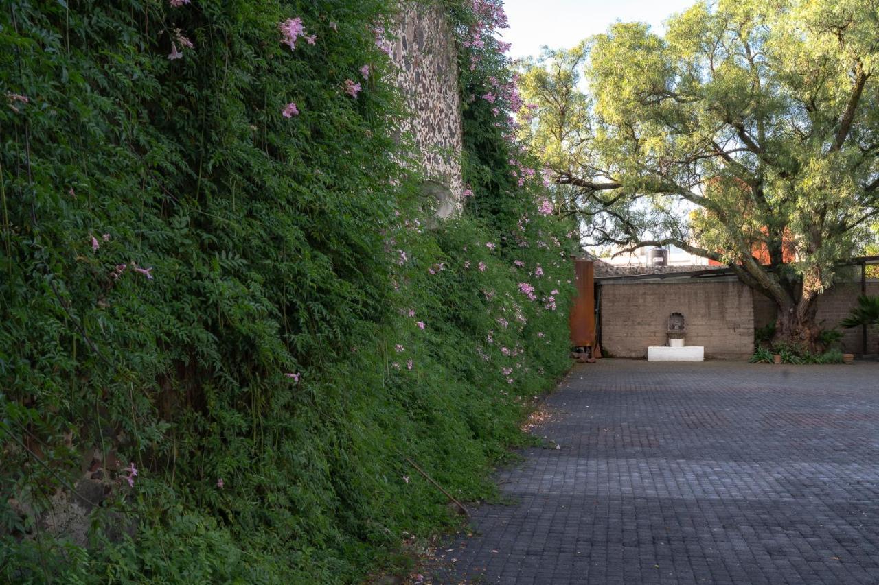 Posada Colibri - Hotel & Spa San Juan Teotihuacán Kültér fotó