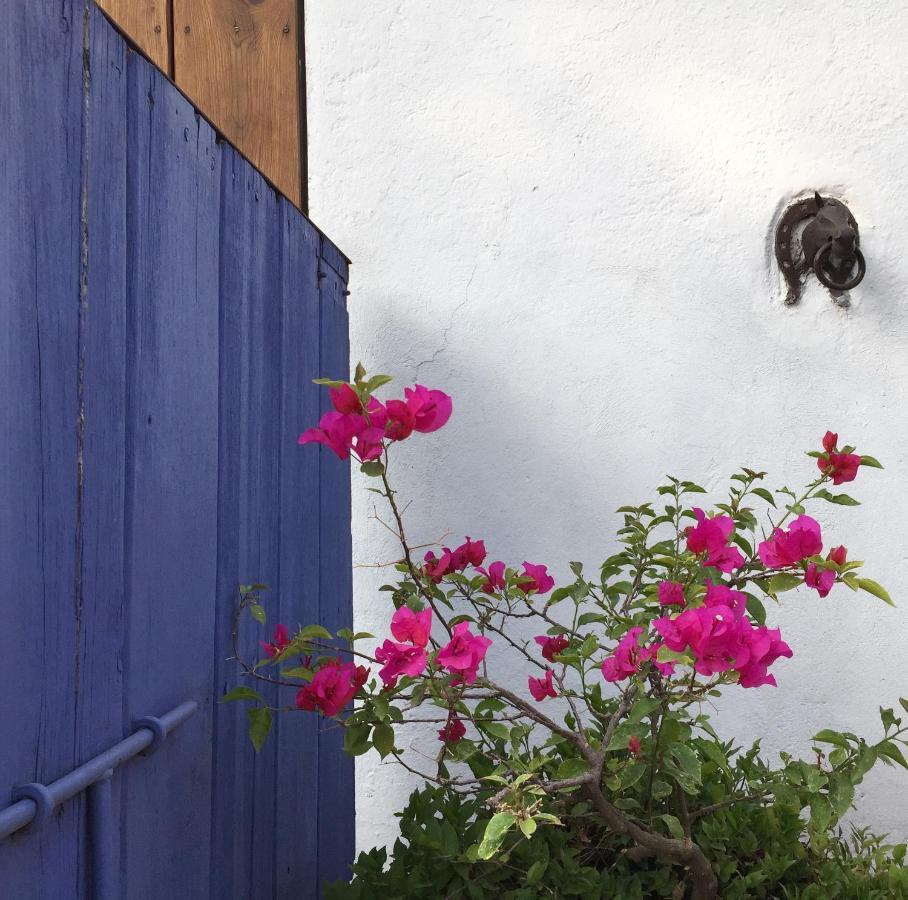 Posada Colibri - Hotel & Spa San Juan Teotihuacán Kültér fotó