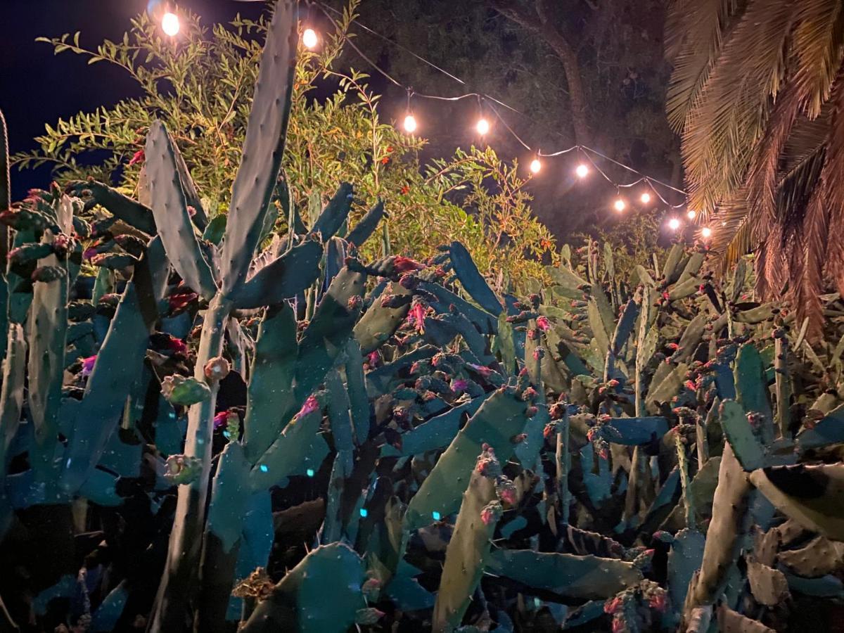 Posada Colibri - Hotel & Spa San Juan Teotihuacán Kültér fotó